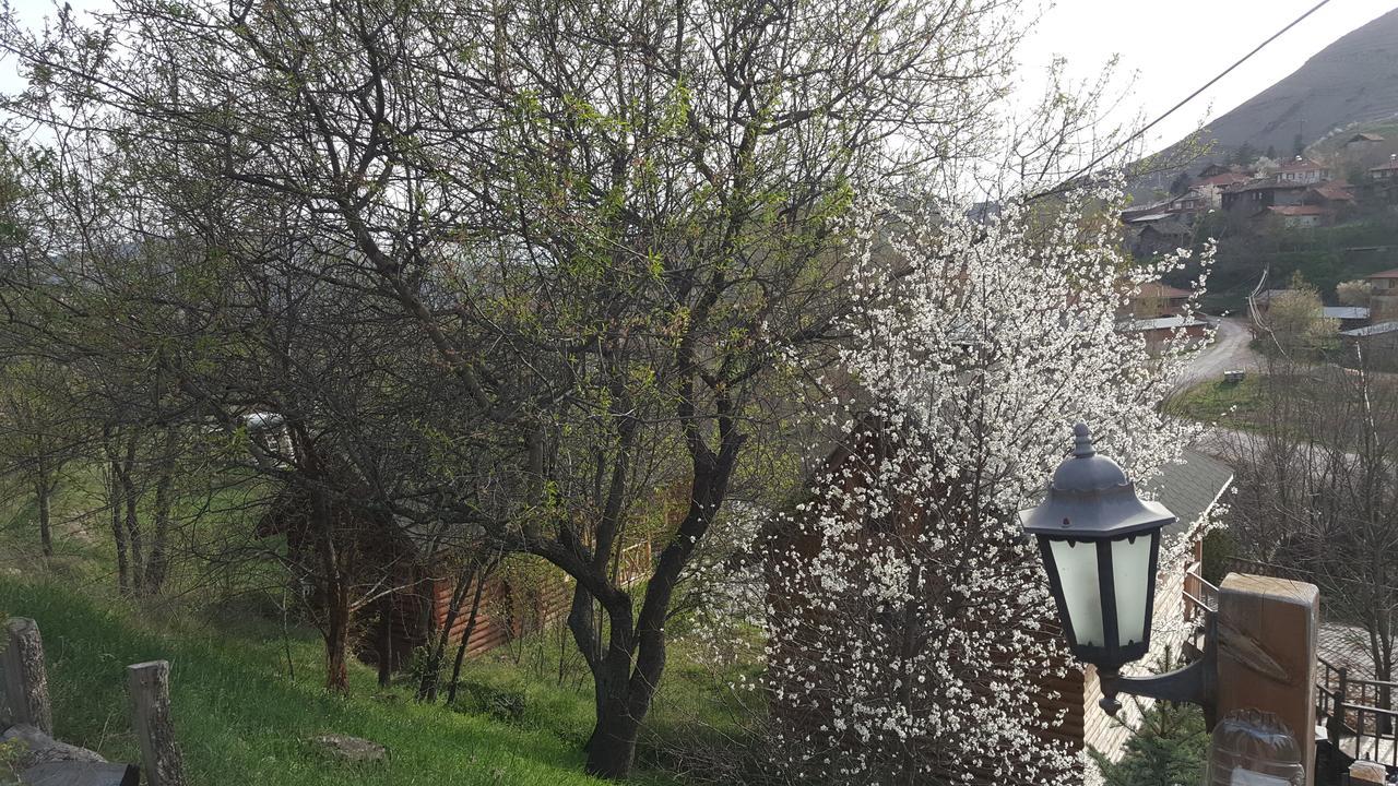 Vegke Kutuk Evleri Hotel Seben Екстериор снимка